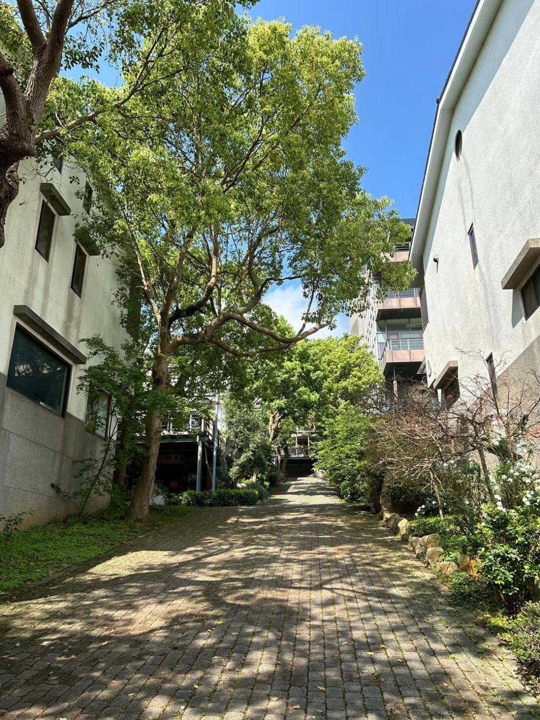 Miaoli Sanyi Travelling Homestay Extérieur photo
